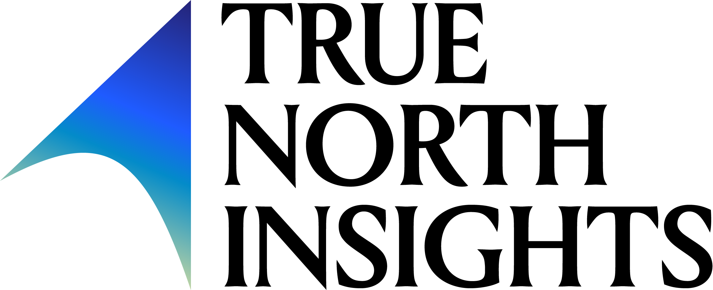 True North Insights Logo